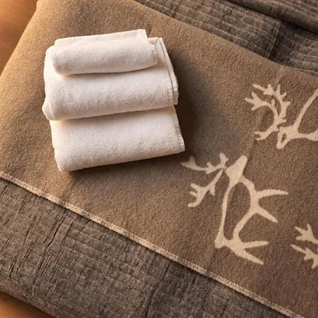 Lägenhet Cozy Nordic 12a - Ailo